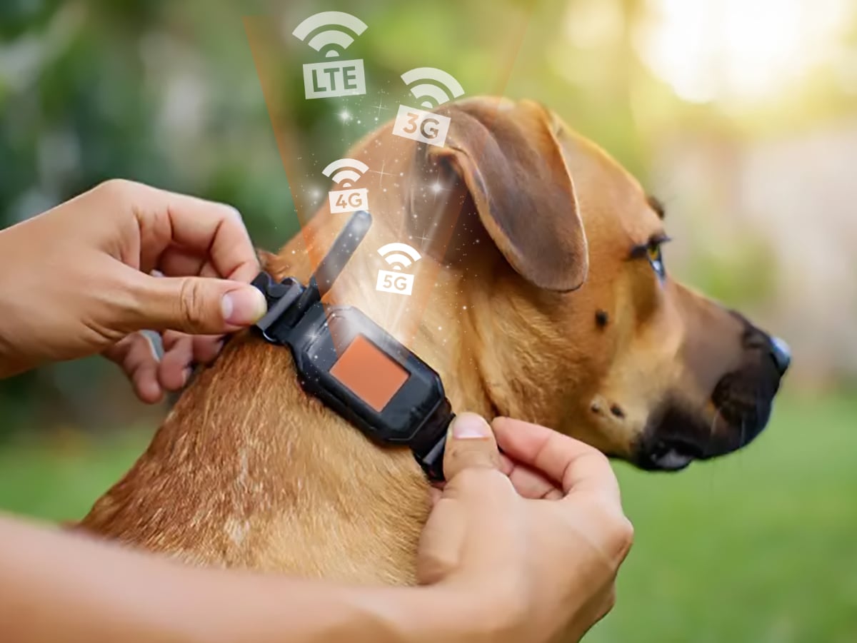 Internet of Things (IoT)
